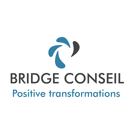Logo Bridge Conseil