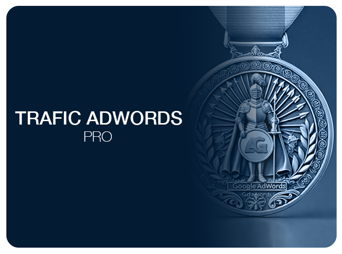 Trafic Adwords PRO